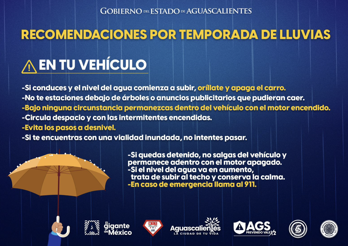 ⚠️AVISO VIAL⚠️
